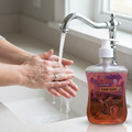 Hand Wash (500ml) – Soft on Skin, Tough on Germs with a Refreshing Fragrance